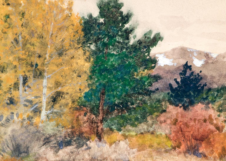 Landscape Scene of Trees in Autumn in Colorado, Early 20th Century Watercolor  - White Figurative Art by Charles Partridge Adams