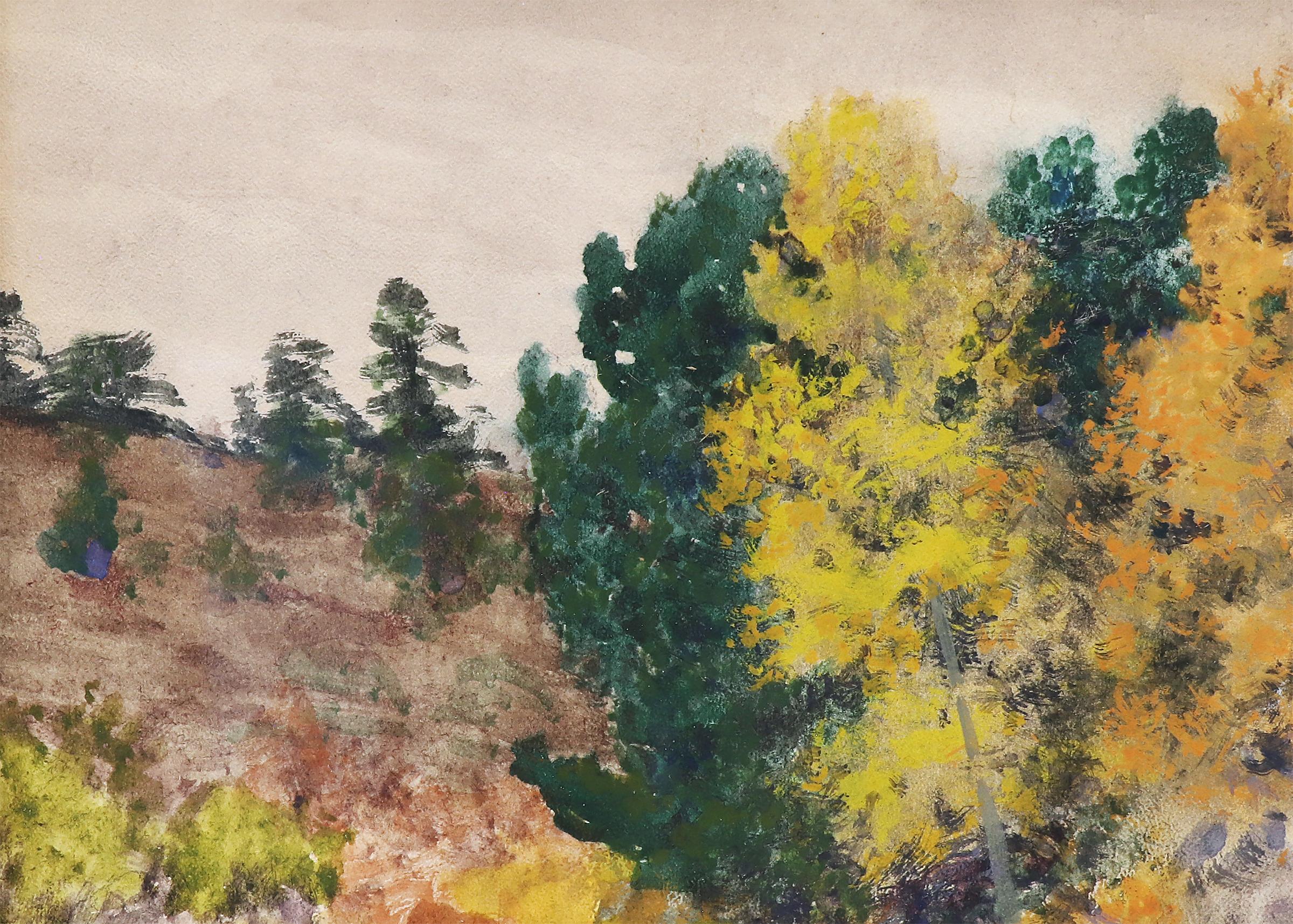 Landscape Scene of Trees in Autumn in Colorado, Early 20th Century Watercolor - Hudson River School Art by Charles Partridge Adams