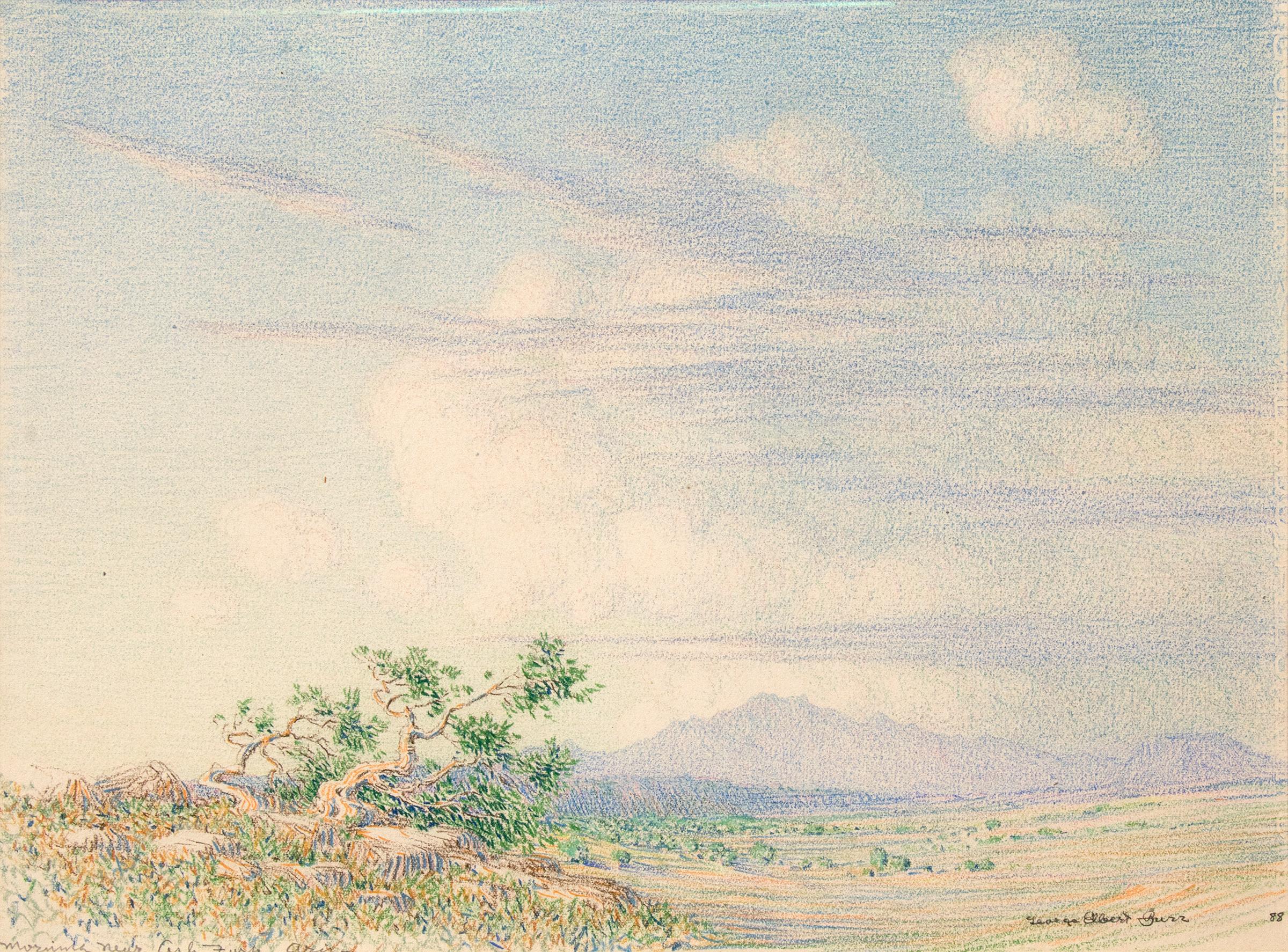 Morning Near Arizona, 1880s Summer Southwestern Desert Landscape Drawing - Art by George Elbert Burr