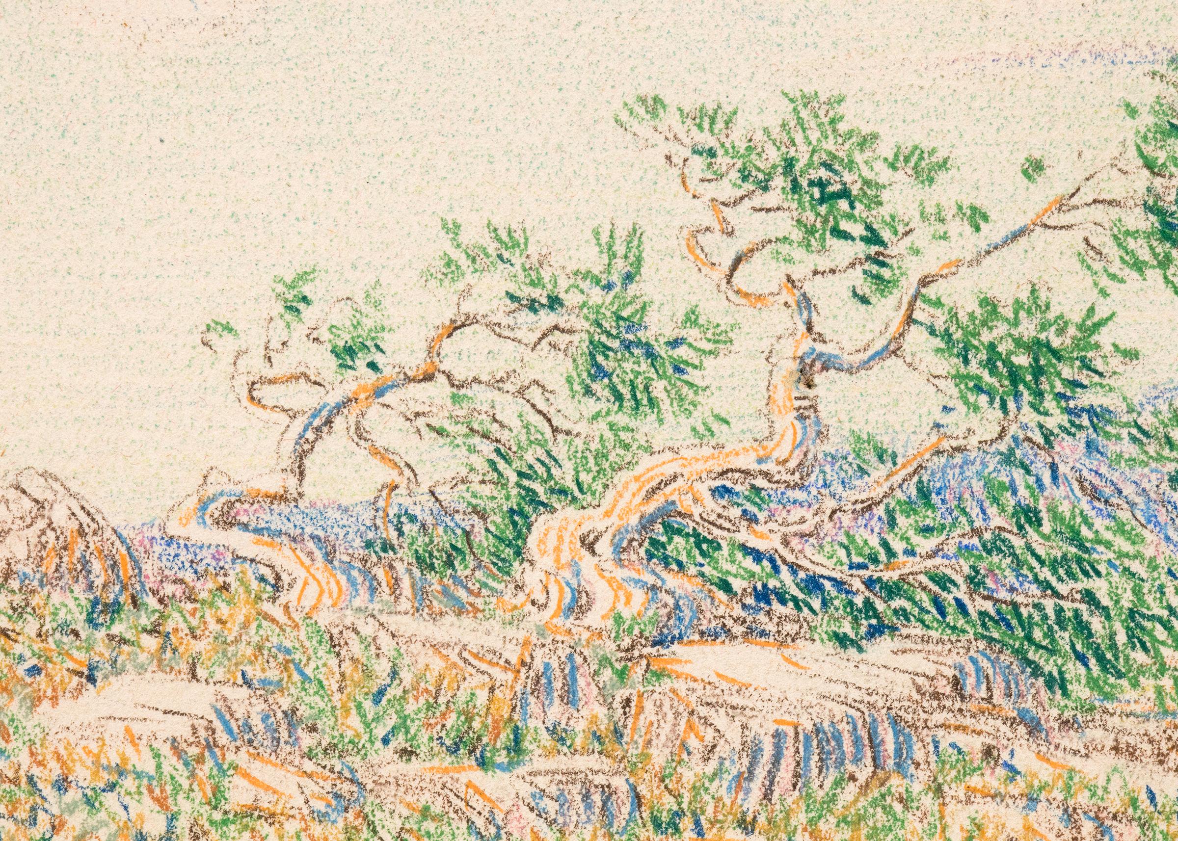 Morning Near Arizona, (Desert Landscape) is an original color pencil drawing from 1888 by George Elbert Burr (1859-1939). Portrays a spring/summer landscape with a tree and fauna, clouds, a mountain peak in the distance. Presented in a custom frame