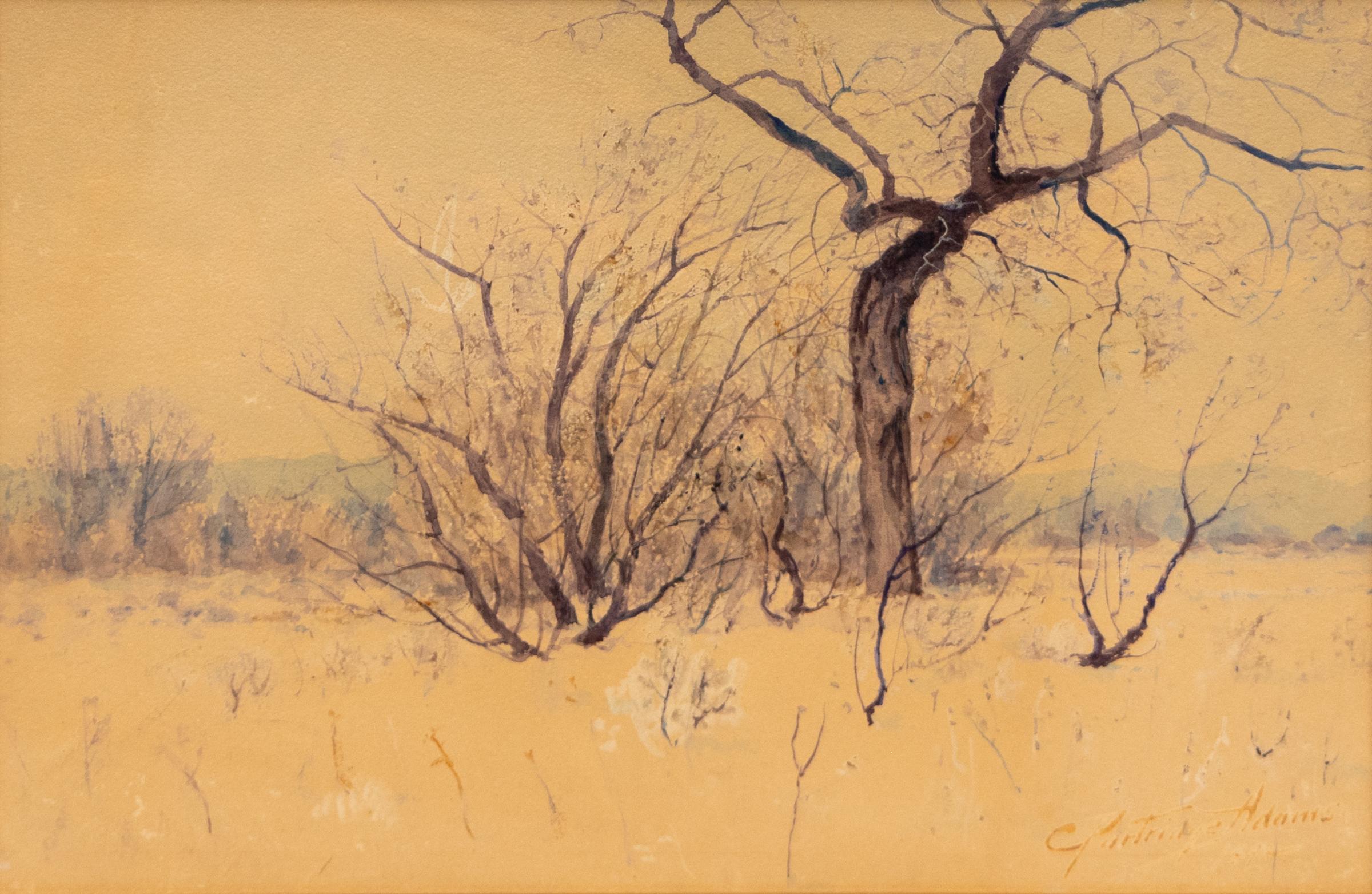 Original Landschafts-Aquarell mit Winterbäumen, Original, Rocky Mountains, frühes 20. Jahrhundert – Art von Charles Partridge Adams