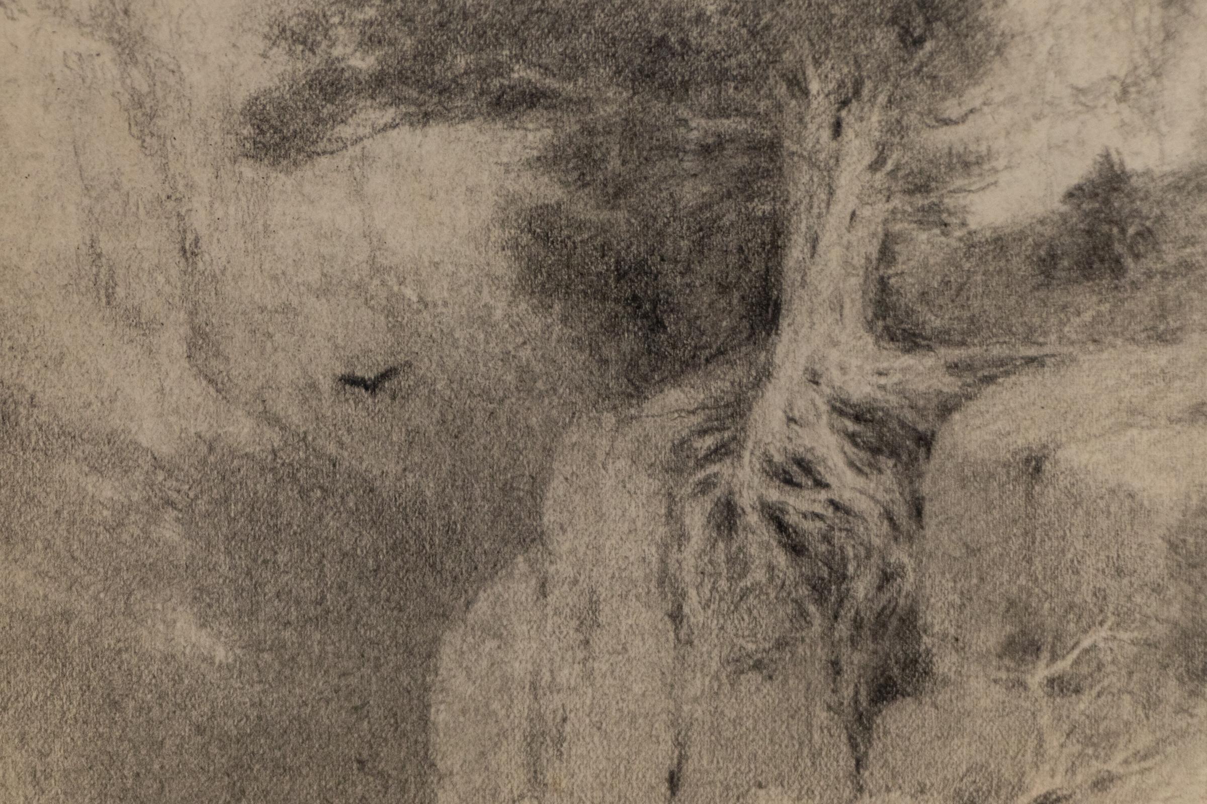 1910 Colorado Canyon Sketch, Plein Air Graphite Landscape Drawing - American Impressionist Art by Charles Partridge Adams