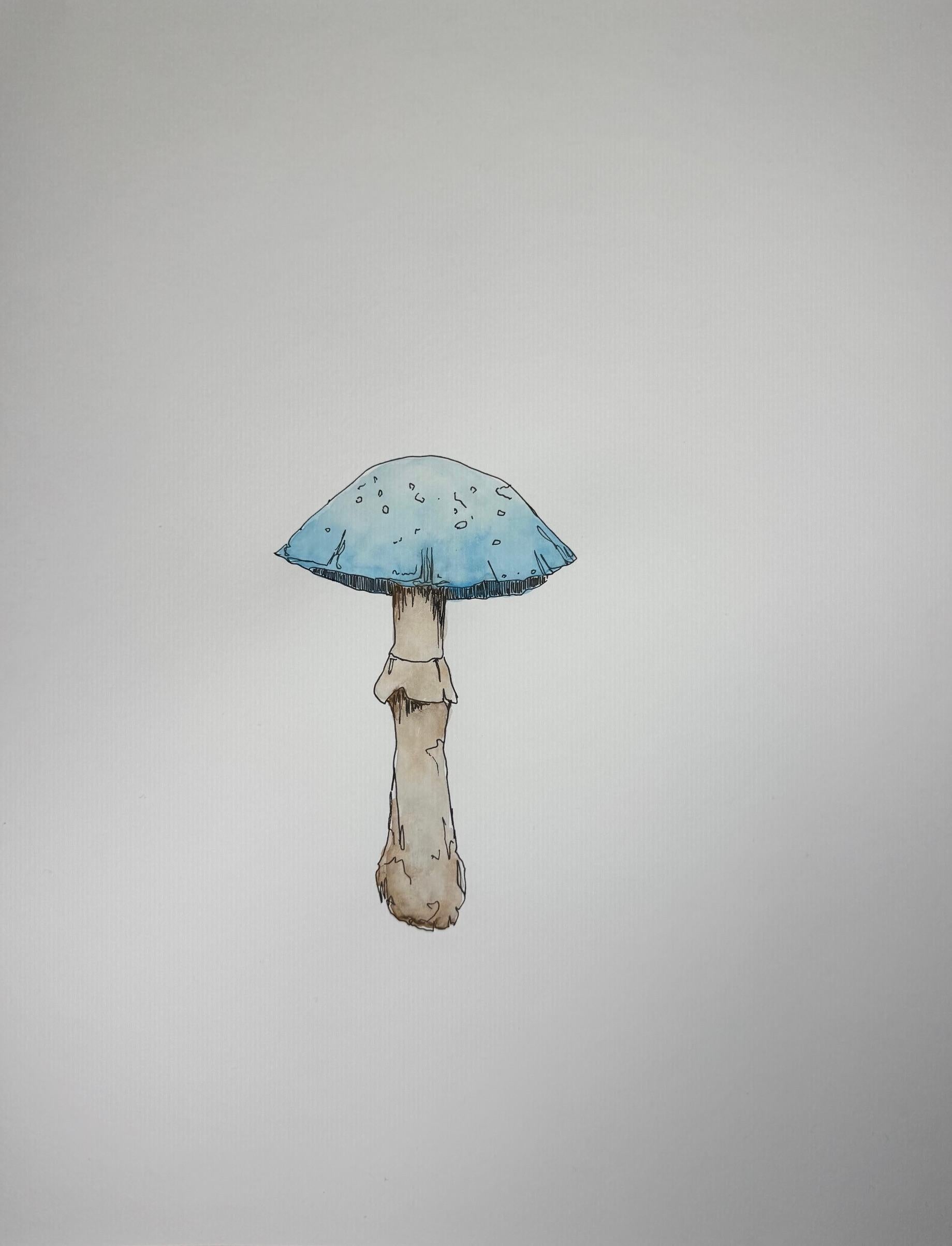 Blue Mushroom