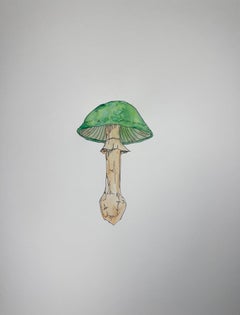 Green Mushroom