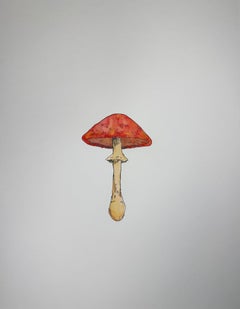 Red Mushroom