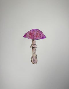 Purple Mushroom