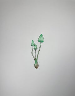 Green Mushrooms