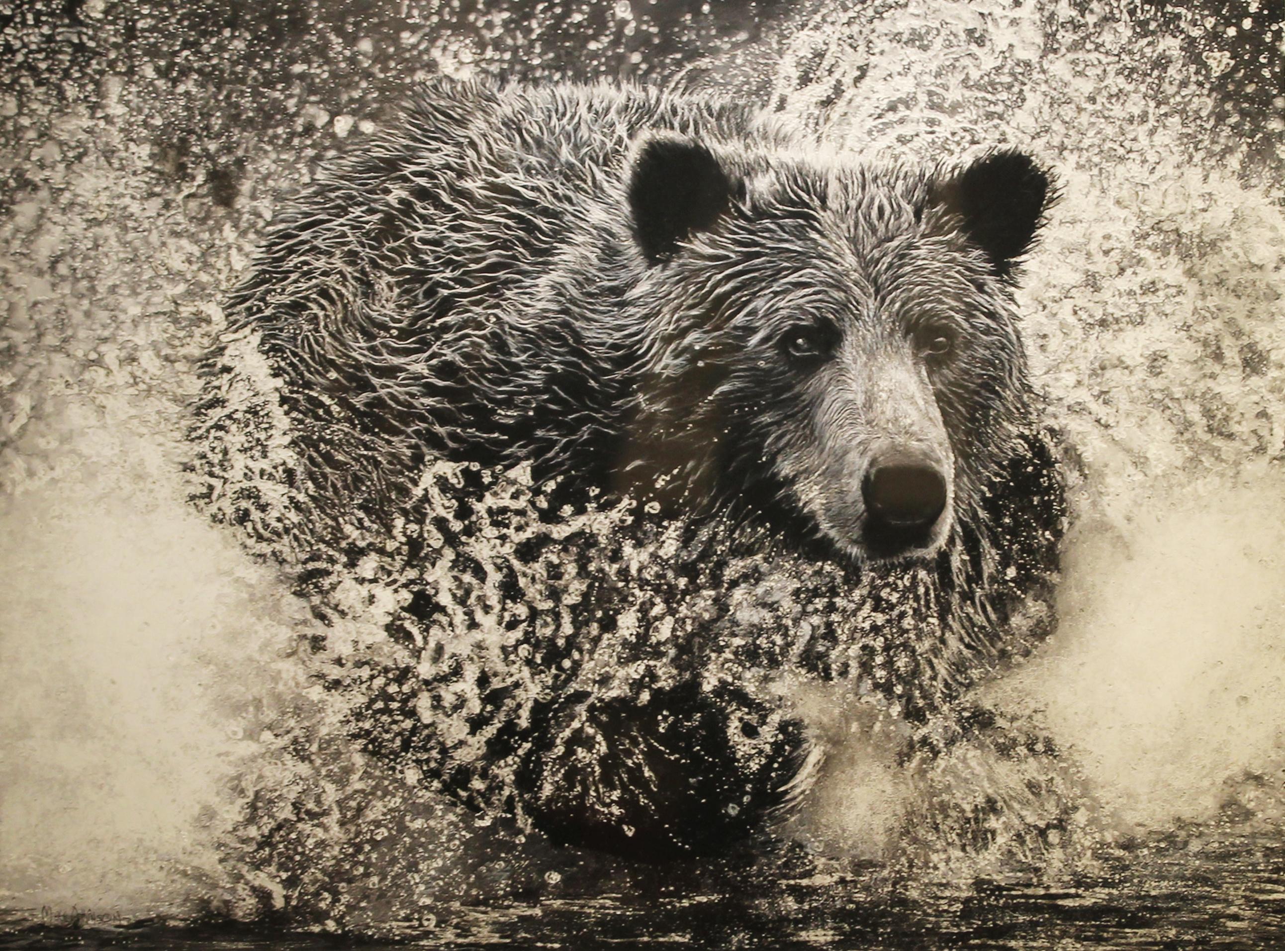 Bear Splash - Art by Matt Atkinson