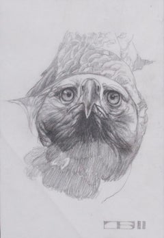 Eagle Study from Take Flight