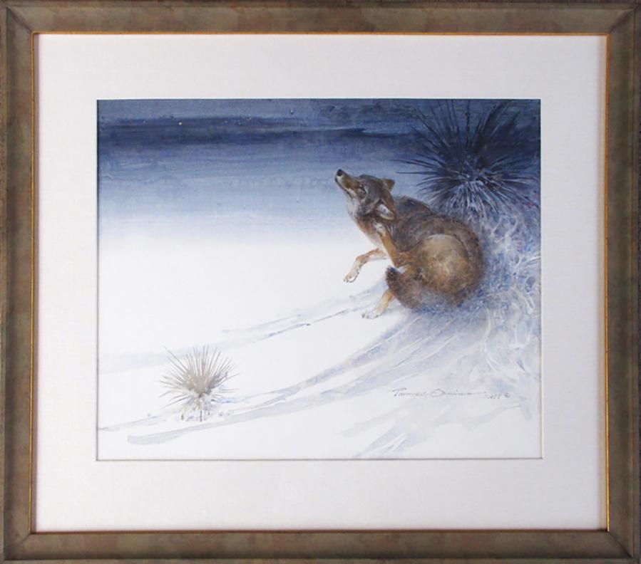Thomas Quinn Animal Art – Kojote Nocturne