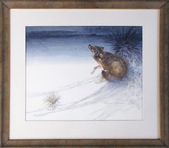 Coyote Nocturne