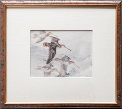 Snipe Flight