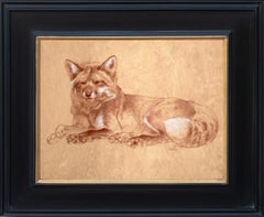 Rotfuchs