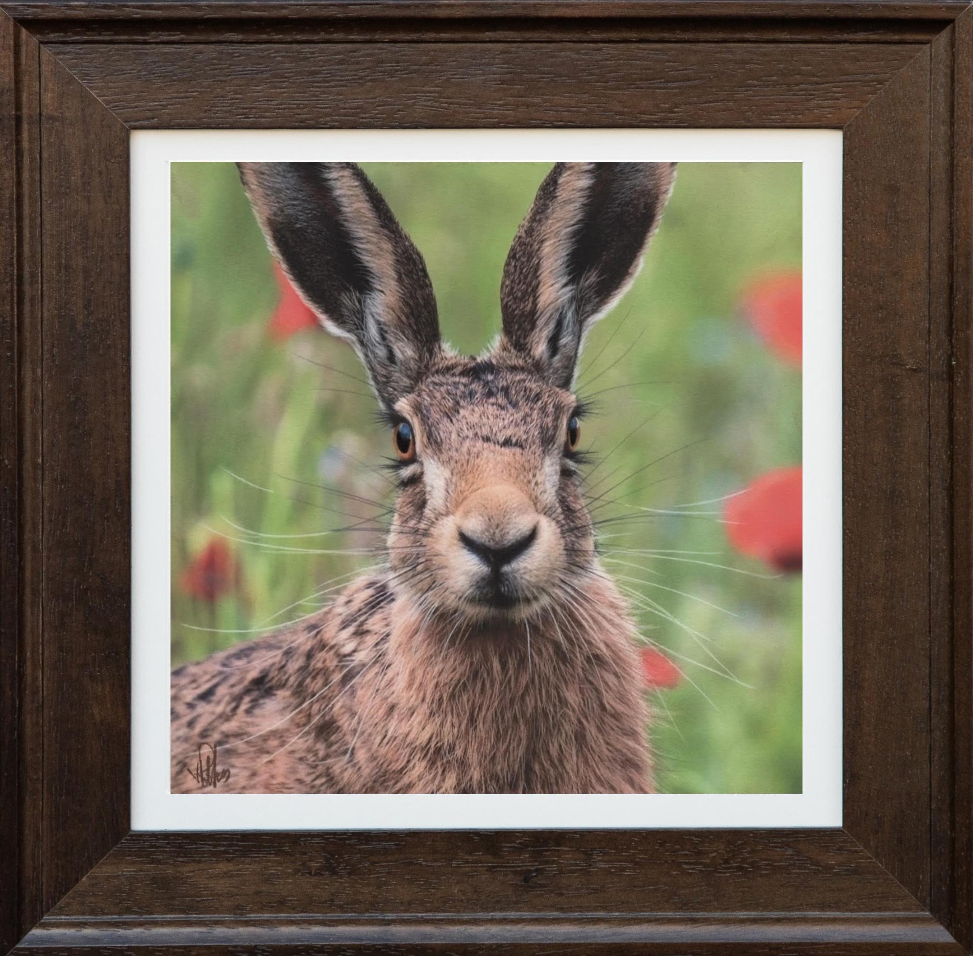 Framed Animal Drawings and Watercolors