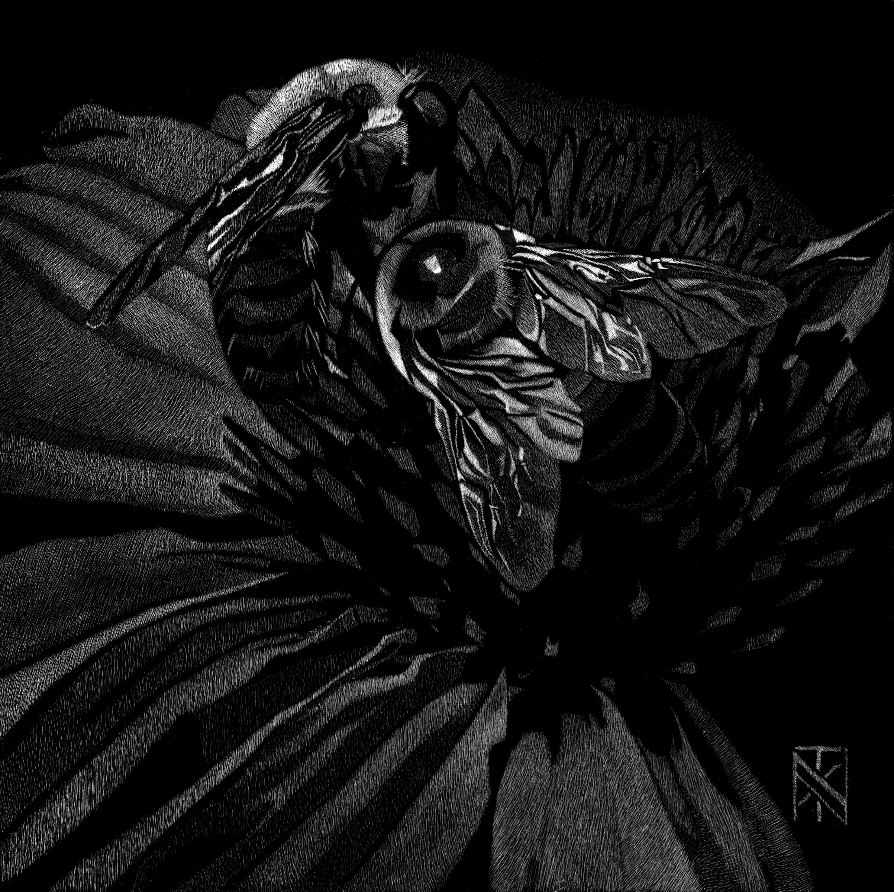 Collezionisti accaniti - Art di Nelson Tucker