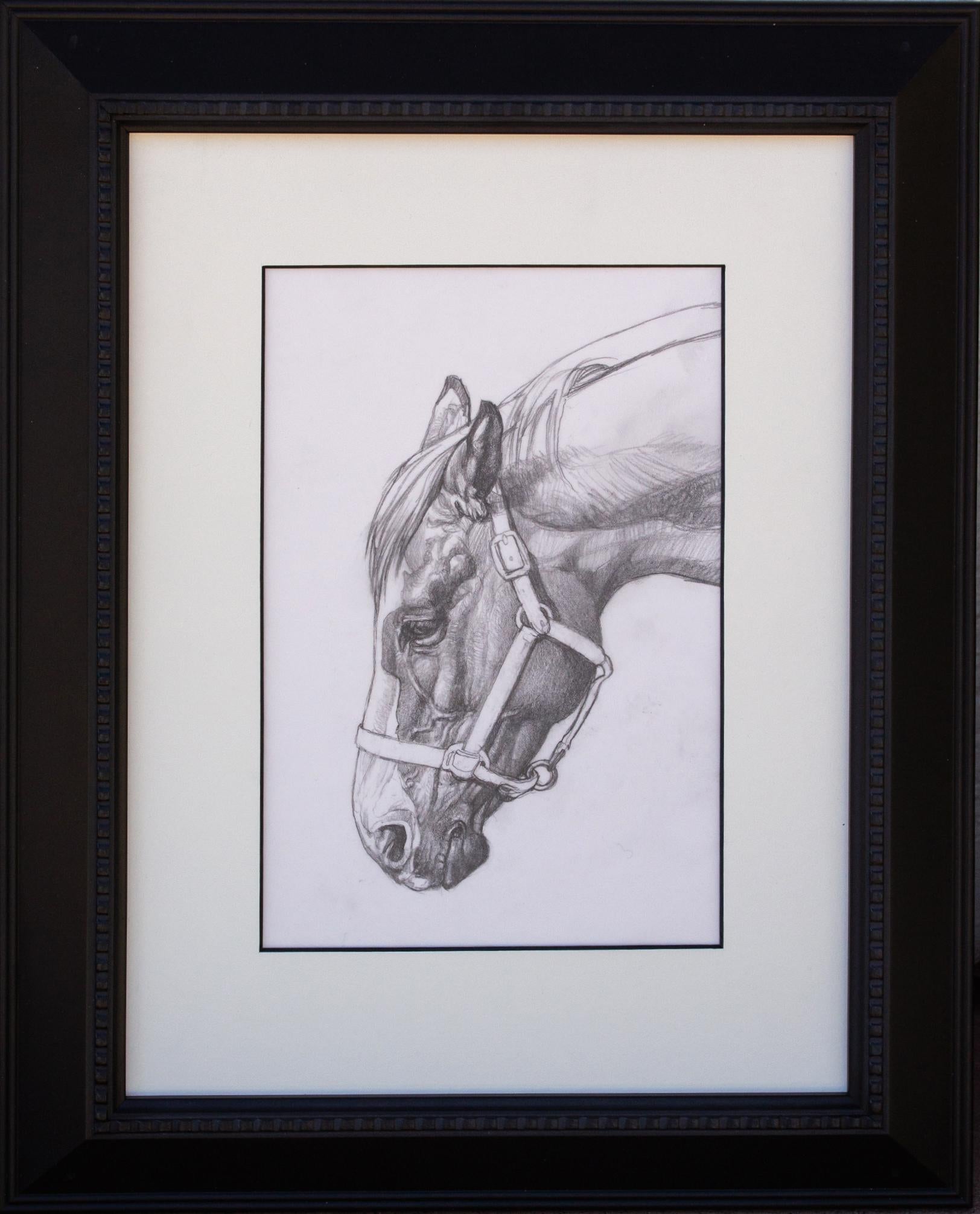 Horse - Art by Thomas Blackshear II