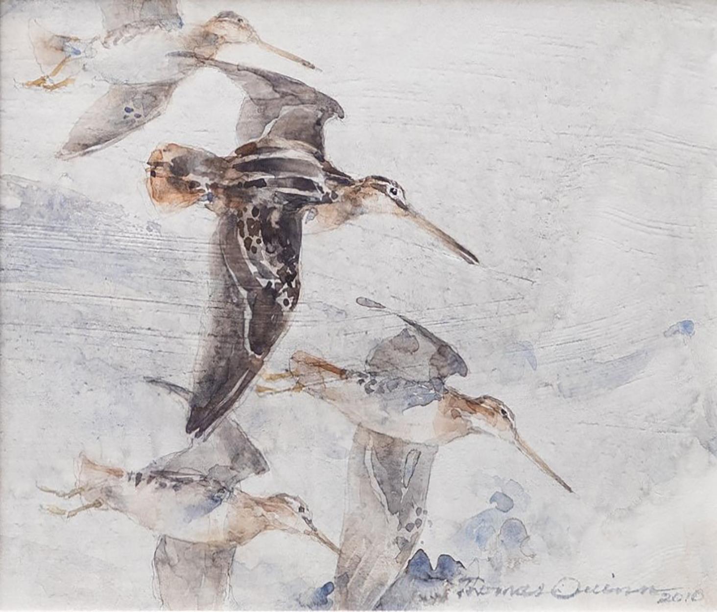 Schnepfenflug – Art von Thomas Quinn