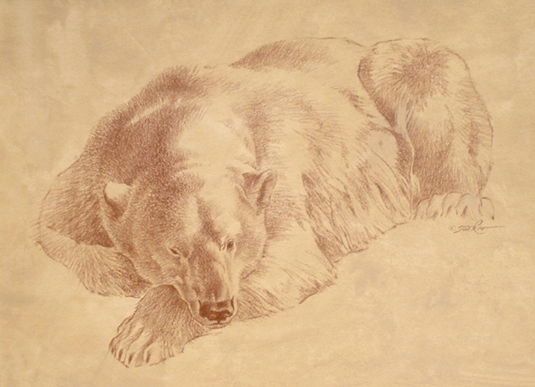 Eisbär (Realismus), Art, von Ezra Tucker