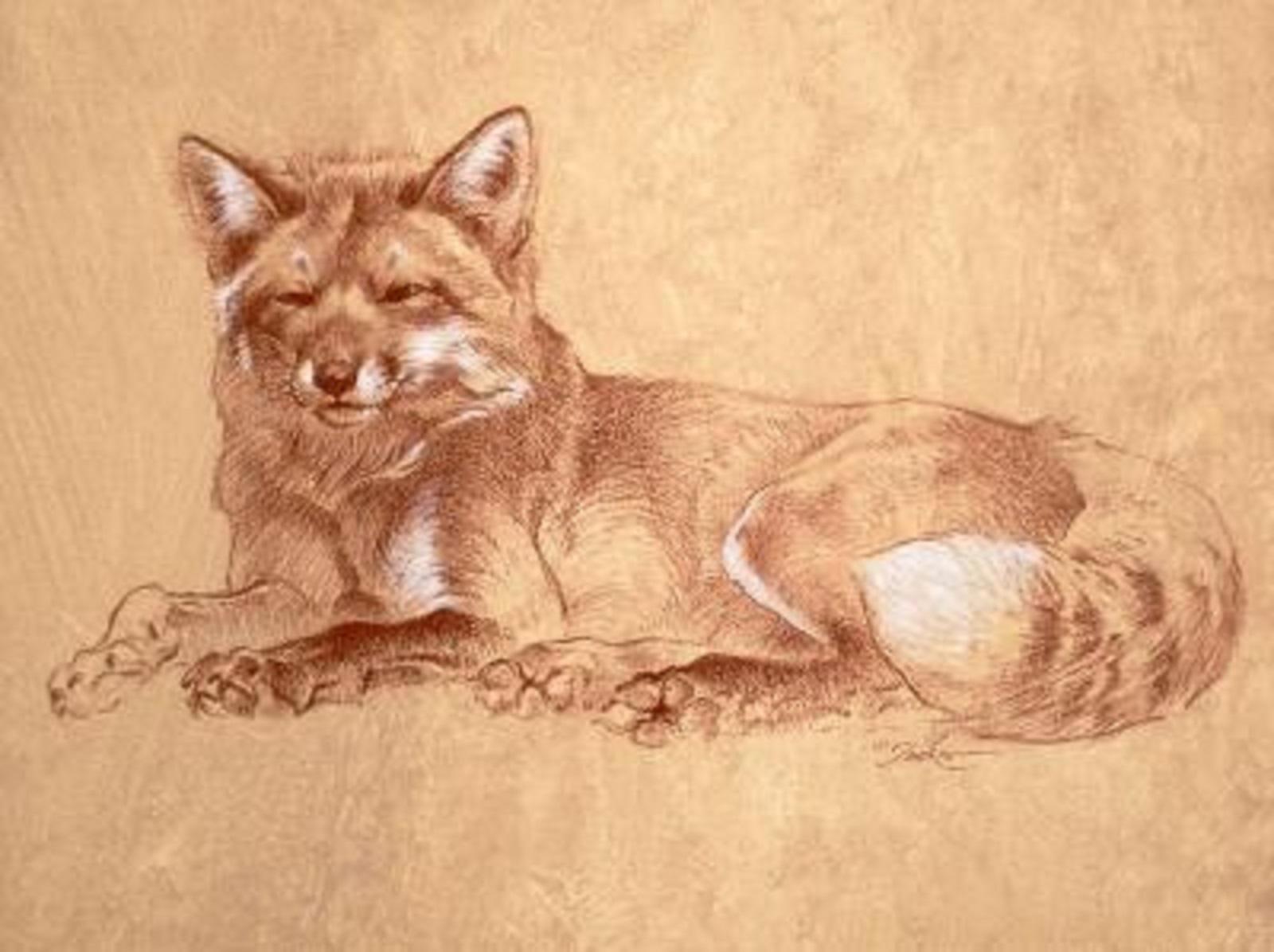 Red Fox - Realist Art by Ezra Tucker