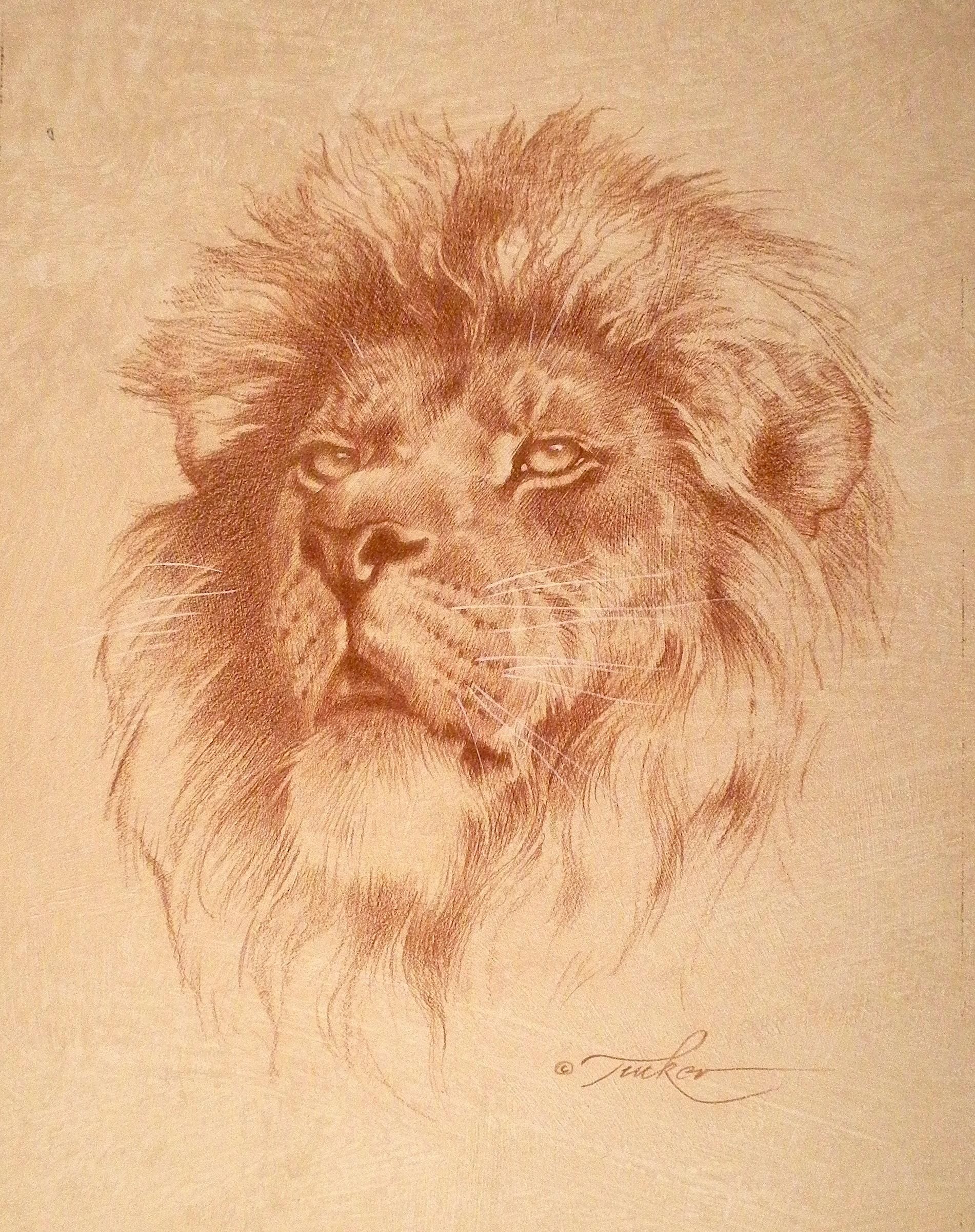 Lion - Realist Art by Ezra Tucker