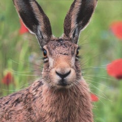 Parmi les pétales rouges