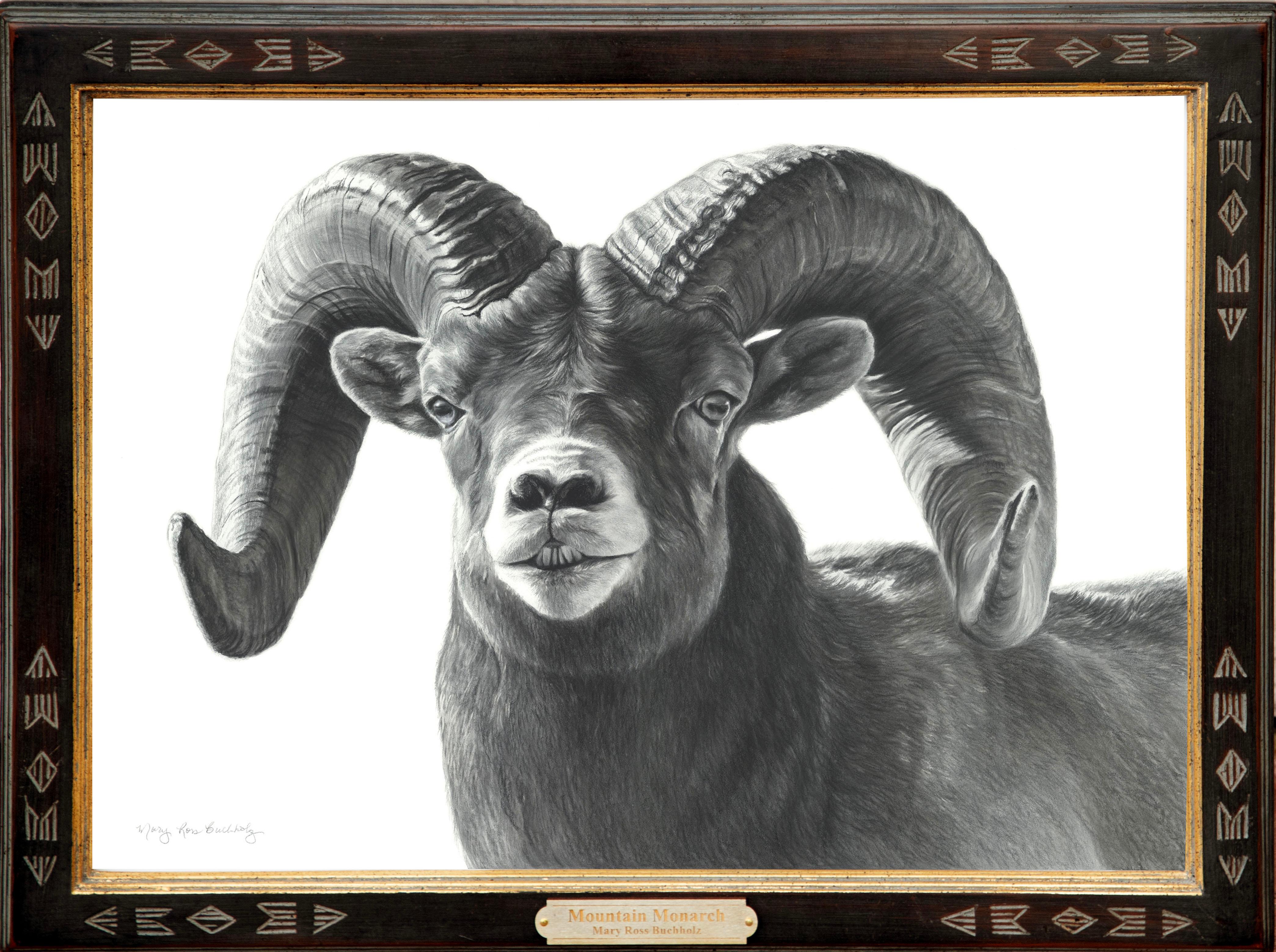 Animal Art Mary Ross Buchholz - Monarque de montagne