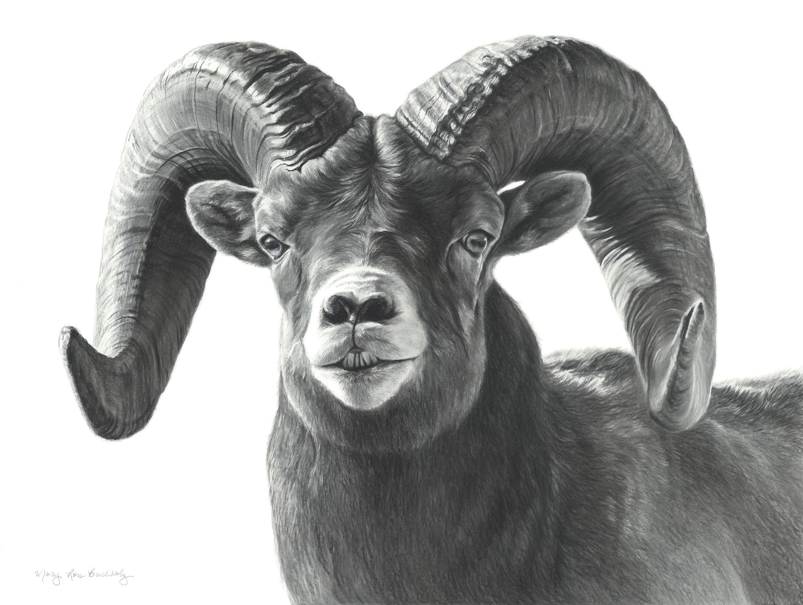 Monarque de montagne - Art de Mary Ross Buchholz