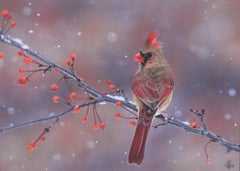 Winter Ember