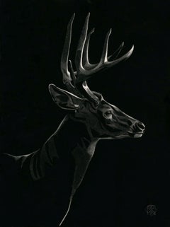 Mule Deer Buck