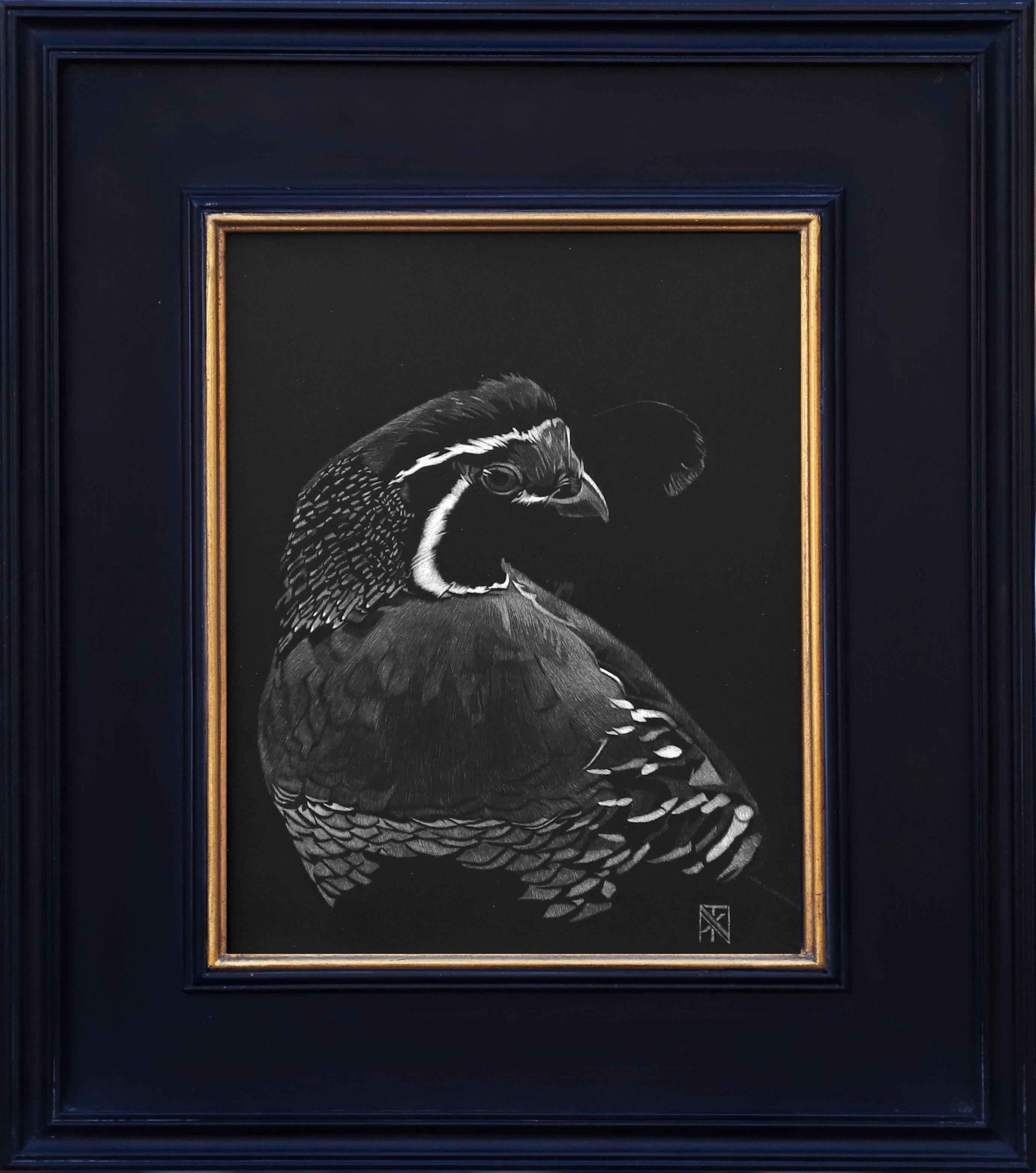 Nelson Tucker Animal Art - Quail