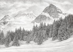 Winter Landscape
