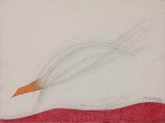 Fliegender Vogel
