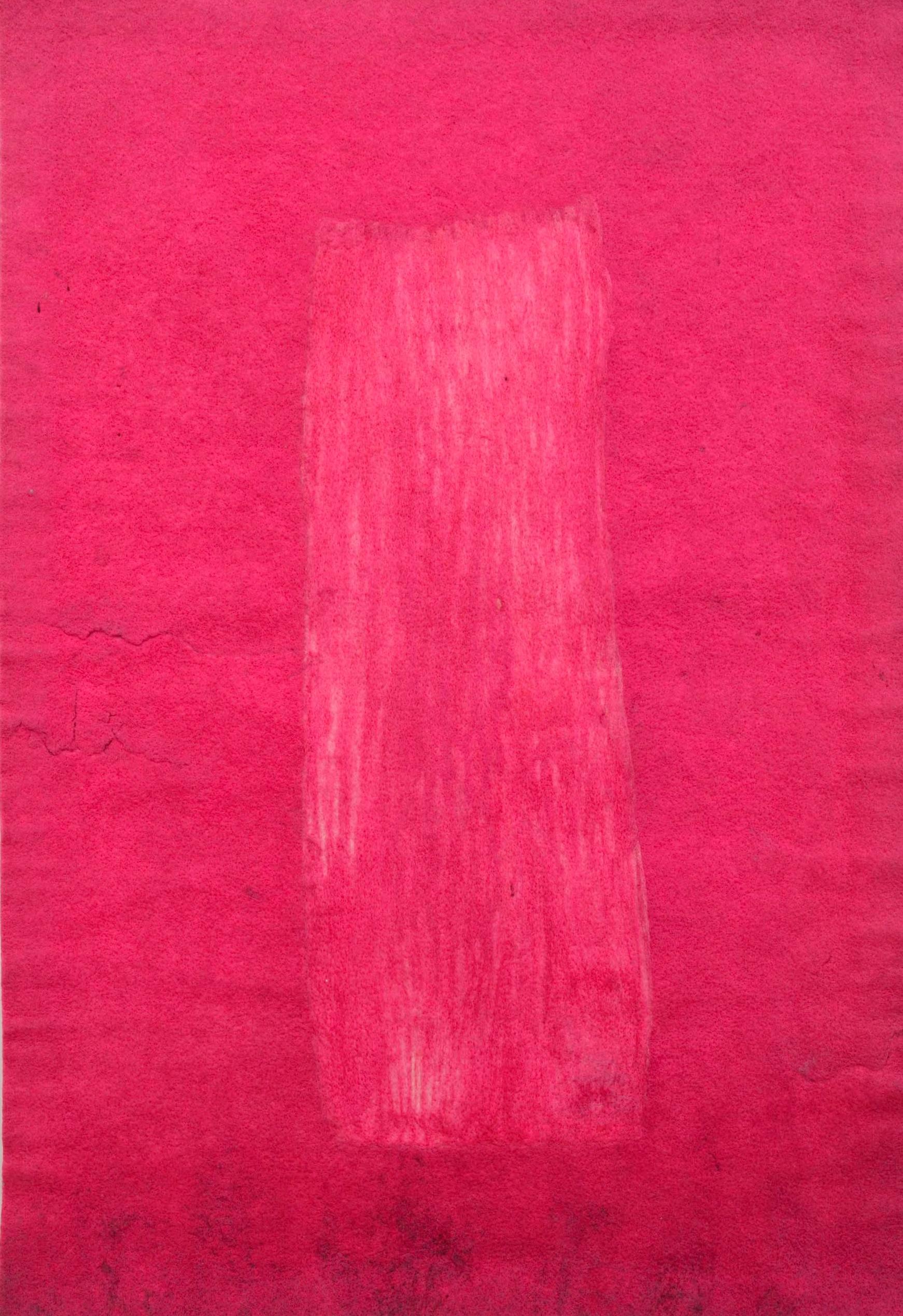 Trouver l'Univers en Oaxaca, rose sur rose