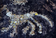 Animal Figure