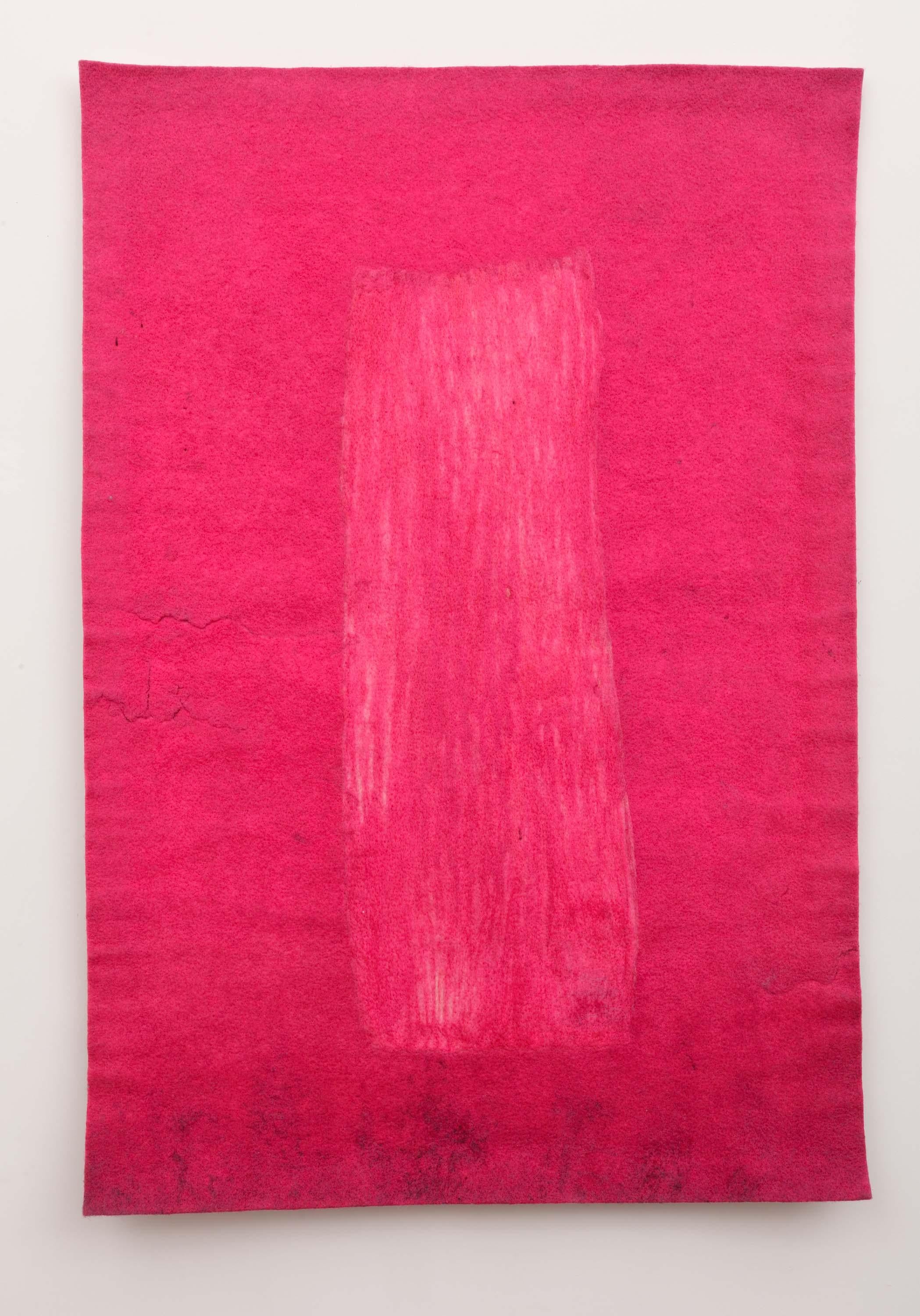 Encontrar el Universo en Oaxaca, Rosa sobre Rosa - Art Campo de color de Gary Goldberg 