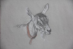GOAT WITH ORANGE COLOR, animal, portrait, drawing, charcoal, photo-realism