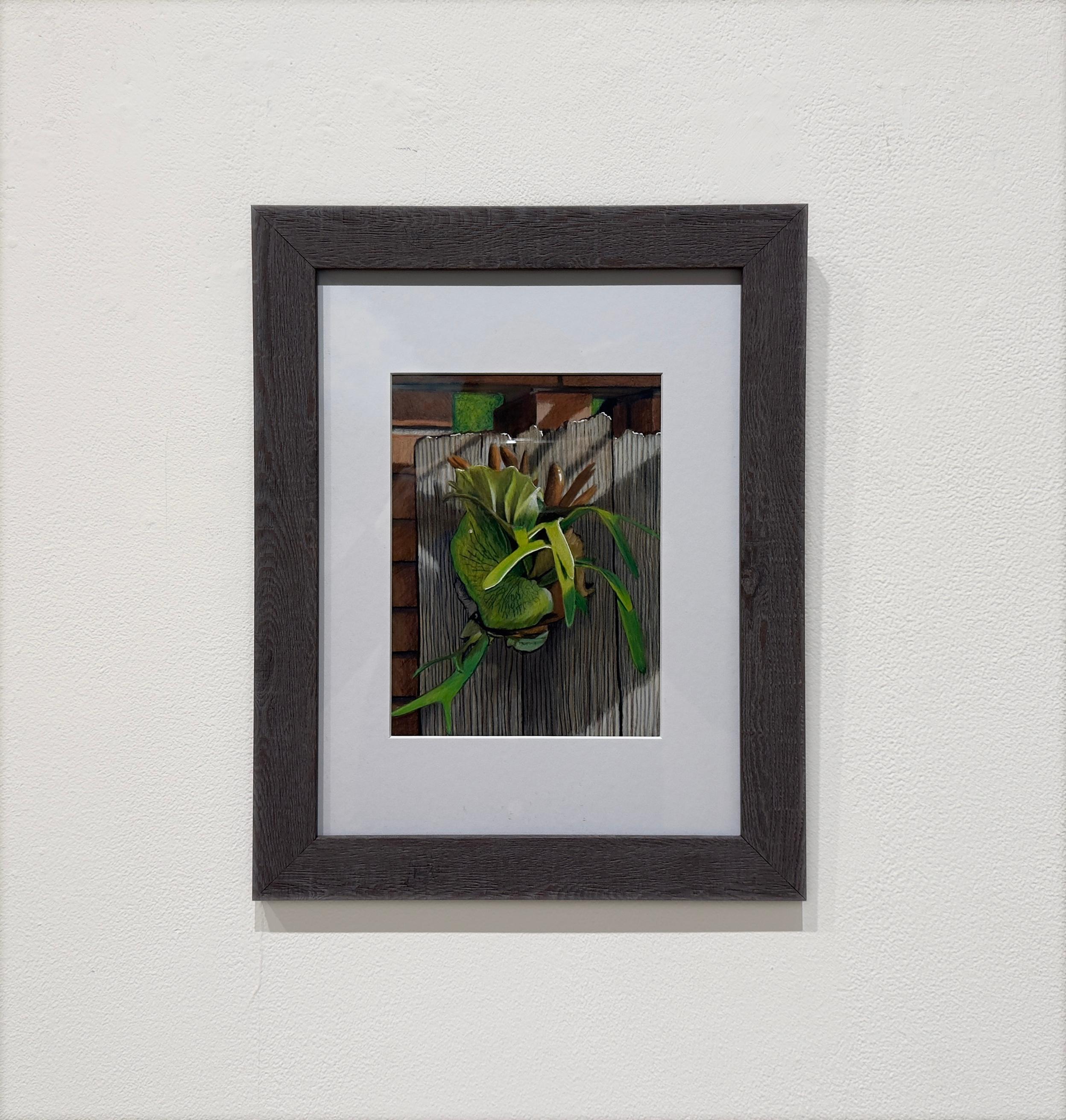 ELKHORN FERN - Still Life Drawing / Plant / Green Thumb - Art by Elizabeth McGhee