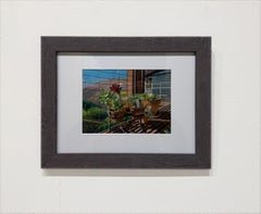 CACTI - Natura morta / Pianta / Realismo / Piccola opera su carta