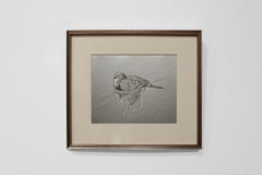 MOURNING DOVE AND NEST WITH WHITE STRING (RÉalisme / dessin au fusain / faune sauvage)