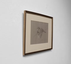 COLOMBO E NIDO CON STRISCIA BIANCA - Realismo / Disegno a carboncino / Fauna selvatica