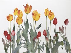 Tulips, May