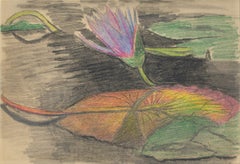 Blue Waterlily