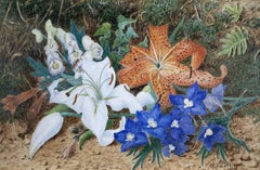 Lys