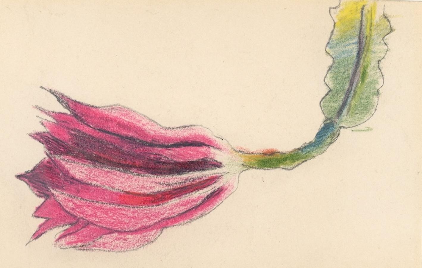 Kaktusblüte