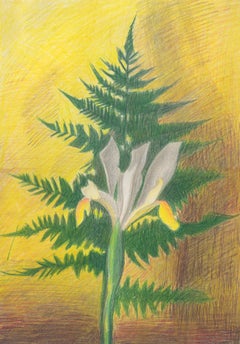 Iris blanco con helecho