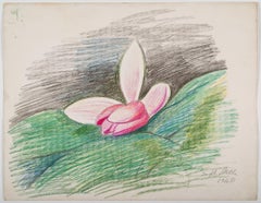 Nenúfar rosa con fondo verde y negro