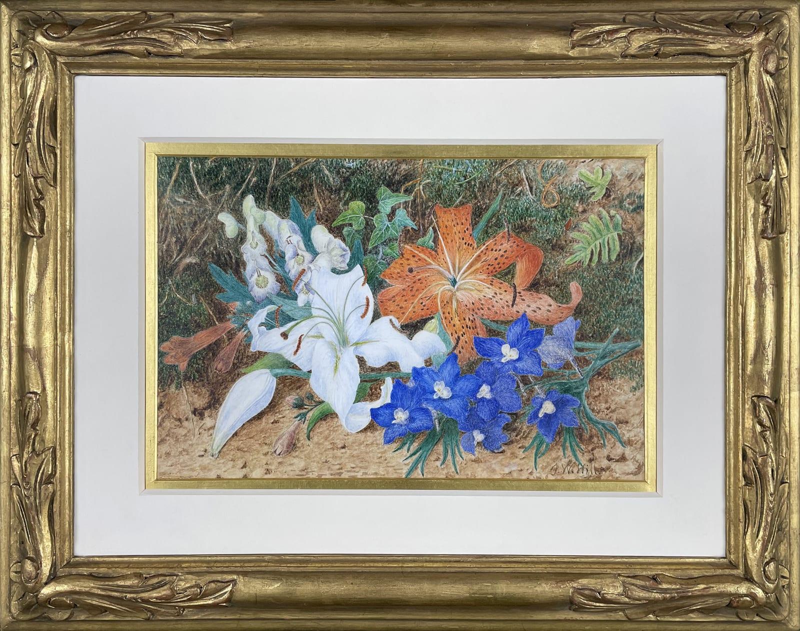 Lilien – Art von John William Hill