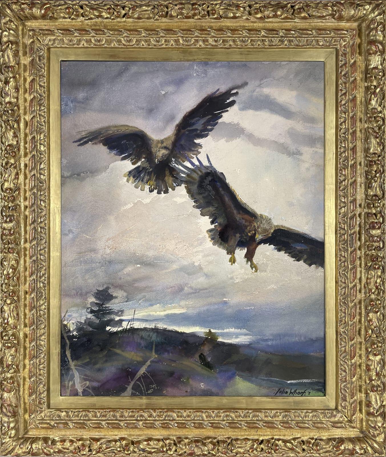 Goldadler – Art von John Whorf