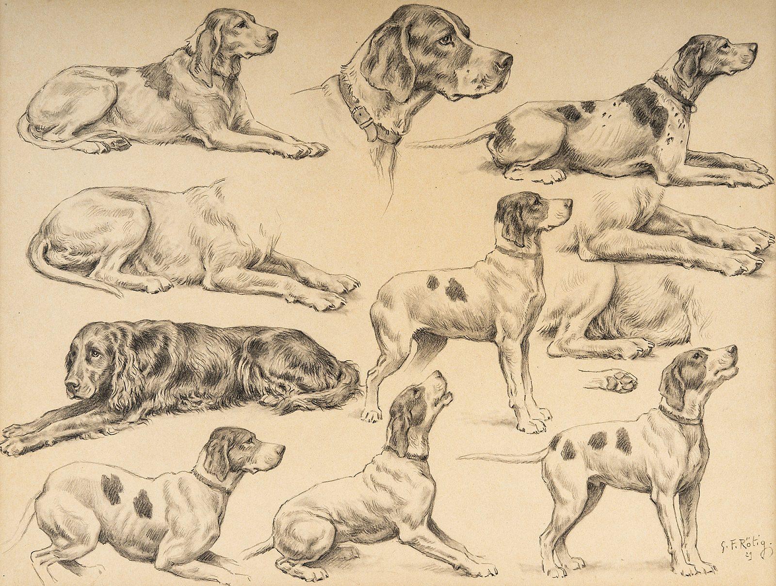 Study of Dogs, Graphite and White Chalk Drawing, Signed and Dated 1929