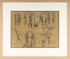 Study of Elephants
